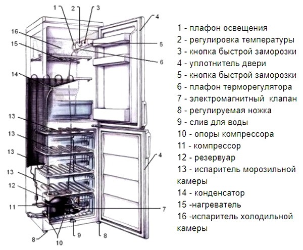 Холодильники. Типы и особенности. Устройство и эксплуатация
