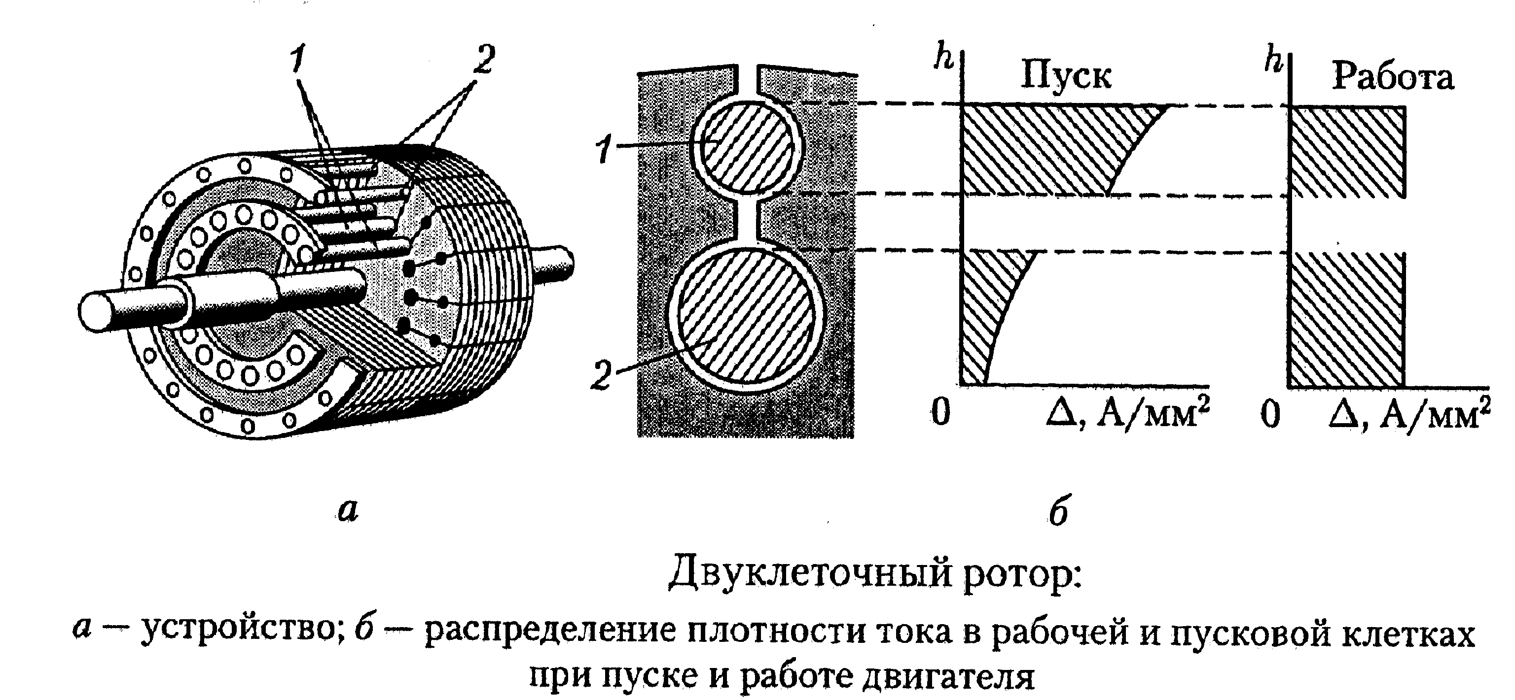 Двуклеточный ротор