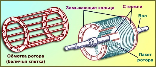 Беличья клетка