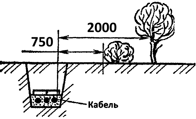 До деревьев должно быть не меньше 1,5 м