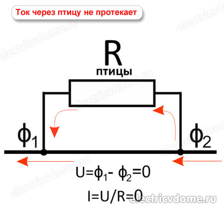 почему птиц на проводах не убивает током