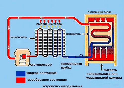 Устройство холодильника