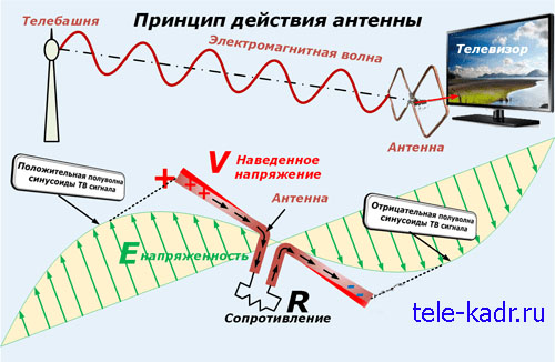 полуволны, напряжение на антенне, сердечник, как распространяется сигнал, полупериоды, синусоида, синусоида образует напряжение, разность потенциалов на усах антенны, напряжение на директорах антенны, поперечные антенны воспринимают электромагнитное излучение, поляризация