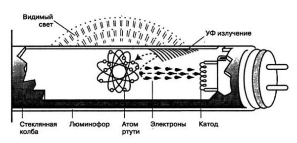 Принцип работы люминесцентных источников света