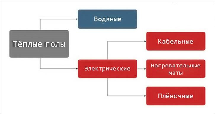 виды полов