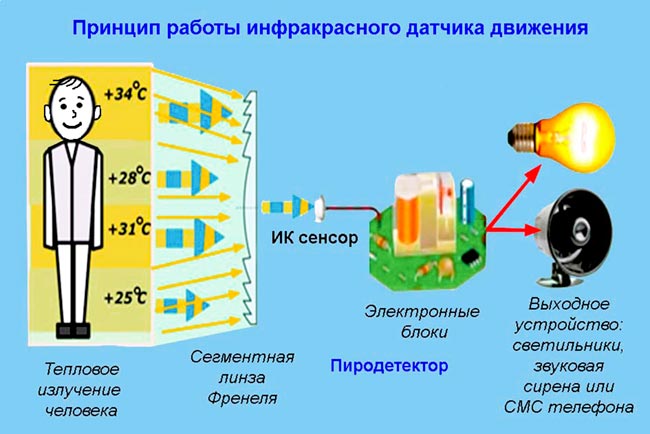 princip-raboty-datchika