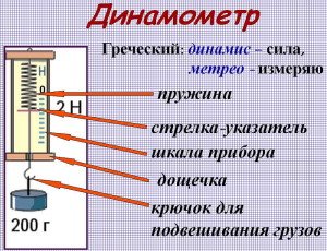 На фото - устройство и принцип работы динамометра, kanschool9.ru