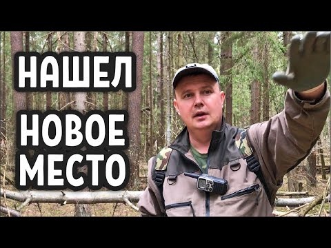 НАХОДКИ 16-го века привели на НОВОЕ МЕСТО / Лесные Копатели