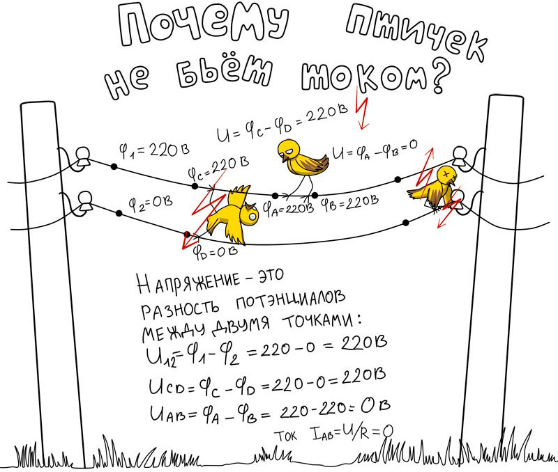 Почему птиц на проводах не бьёт током