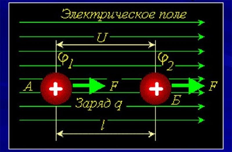 Почему птиц не бьет током на высоковольтных линиях электропередач?