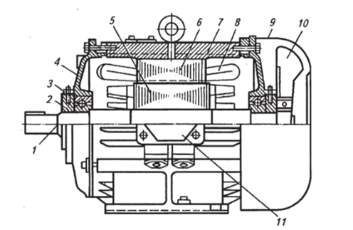 Устройство трехфазного электродвигателя