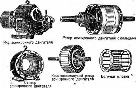 Составные части электродвигателя