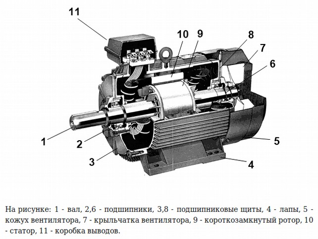 Схема устройства асинхронного мотора