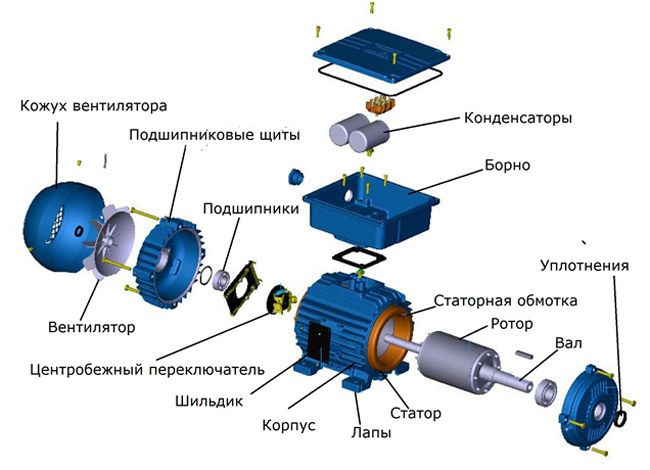 Конструкция асинхронного однофазного электродвигателя 