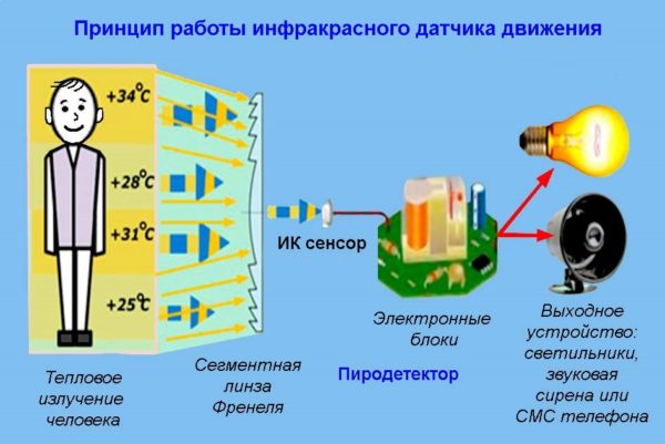 Принцип работы инфракрасного датчика движения