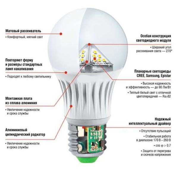 Устройство обычной светодиодной лампы