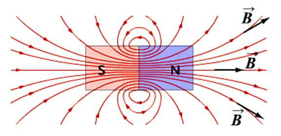 Напрвление вектора магнитной индукции постоянного магнита. 