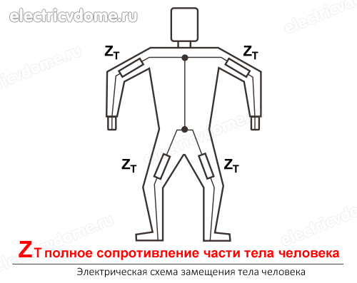 схема замещения тела человека